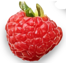 Frutas